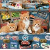 Puzzle 200 Pièces Chats Educa -BéBé Maison Magasin 30fe8566da4627975ee407695b3f