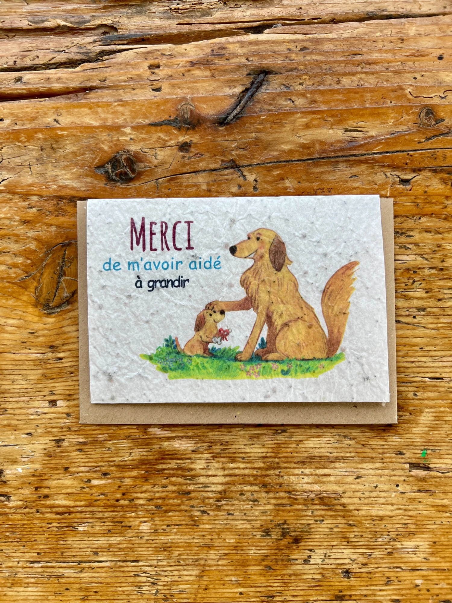 Carte à Planter Fin D'année Scolaire - Merci De M'avoir Aidé à Grandir - Les Cartes De Lulu 3 Carte à Planter Fin D'année Scolaire - Merci De M'avoir Aidé à Grandir - Les Cartes De Lulu