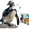 Puzzle 100 Pièces Pingouin Madcap -BéBé Maison Magasin 9044b2fee4cd4c74e286d7b0a500