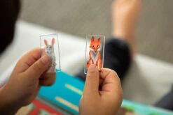 Fox Terrier Smart Games -BéBé Maison Magasin d3bcf9041ed70235de349d2fb208