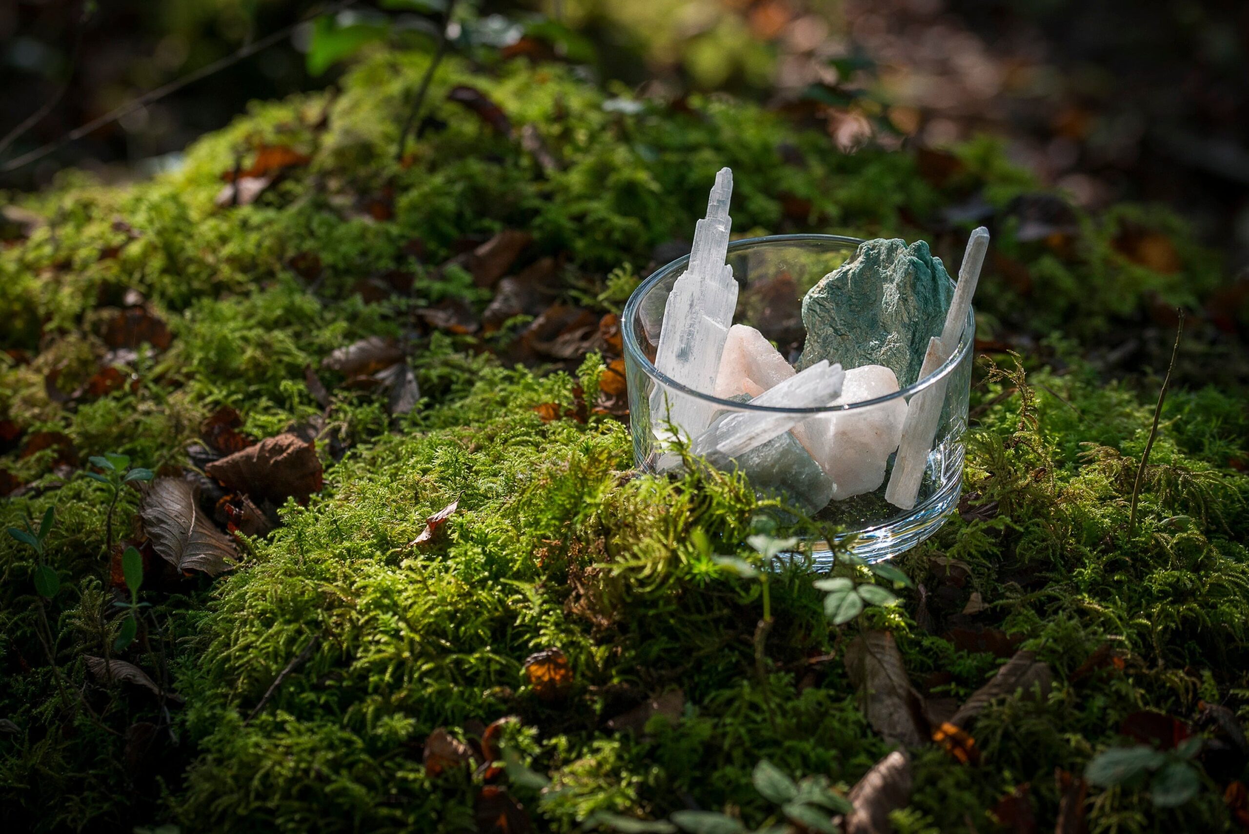 BéBé Maison Magasin -BéBé Maison Magasin DSC 1236 3108505e 6b02 4797 a217 scaled